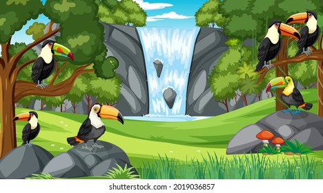 Many toucan birds in forest or rainforest scene with many trees illustration