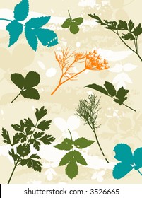 many tracing silhouettes: grass, leafs, flower, vector illustration