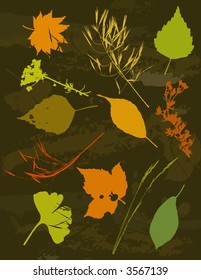 Many tracing silhouettes: grass, leafs, flower, vector illustration