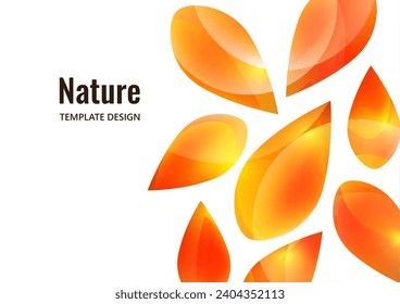 Many transparent isolated petals on a white background. Vector illustration