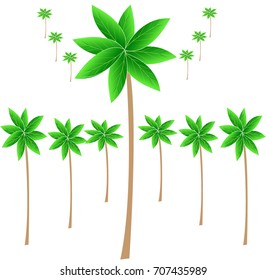Many trees