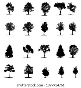 many trees it is a black colors vector design