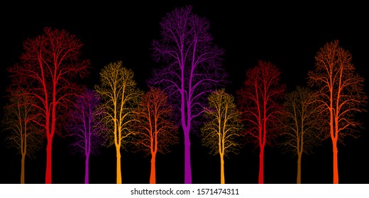 Many trees of different colors. Trees without leaves. Leafless tree trunks with branches without leaves. Trees on a black background. Large plants for decoration. Many branches without leaves.