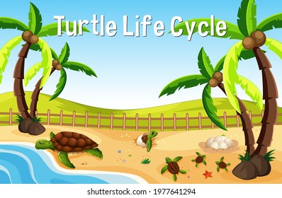 Many turtles on the beach scene with Turtle Life Cycle Font illustration