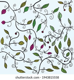 Many twigs twist. Leaves and berries grow on them.