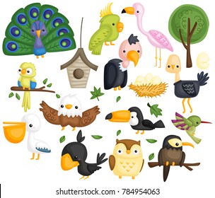 many type of bird in one vector set