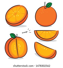 many type of full sliced orange hand drawn doodels