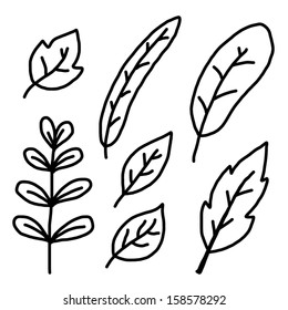 many type of plant leaf / cartoon vector and illustration, black and white, hand drawn , isolated on white background.