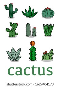 Many types of cactus vector drawing.