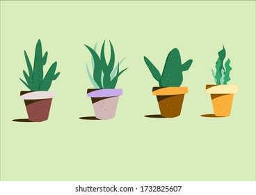Many types of green cactus lined up in a brown pot.