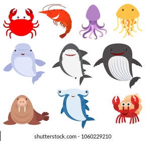 Viele Arten von Meereslebewesen illustrieren