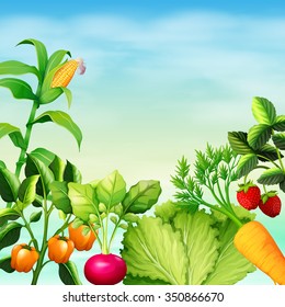 Many types of vegetables illustration