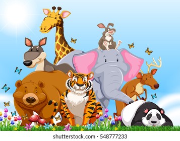 Many types of wild animals in the field illustration