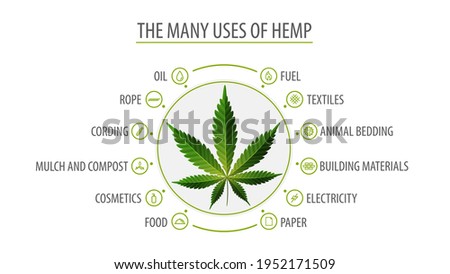 Many uses of hemp, white poster with infographic of uses of hemp and leaf of hemp plant 