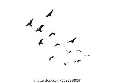 Many Vector birds flying on sky isolated on white background. 