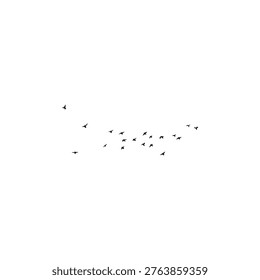 Many Vector birds flying on sky isolated on white background. 