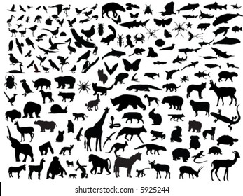 Many vectors of animals