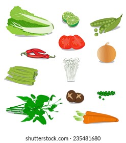 many vegetable on white background