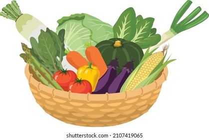 Many vegetables in the basket