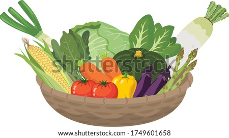 Many vegetables in the basket