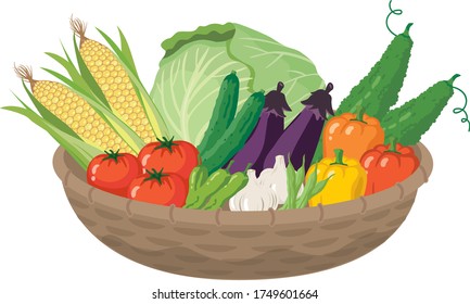 
Muchas verduras de la cesta (verduras de verano)