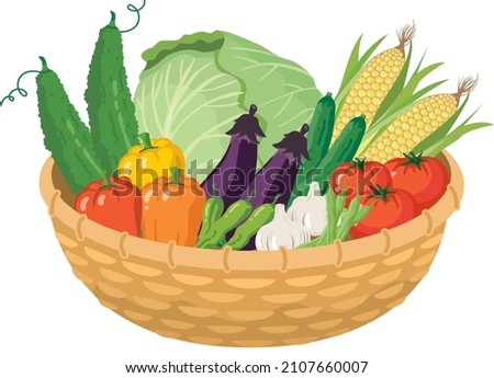 Many vegetables in the basket (summer vegetables)