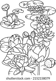 Many water lilies on the pond. Beautiful flowering aquatic plant. Coloring book.