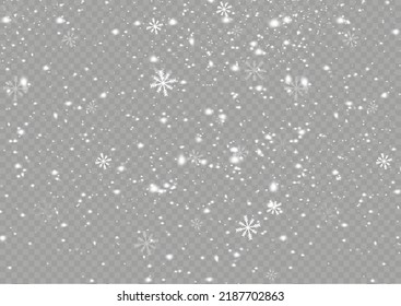 Many white cold flakes elements on a transparent background. White snowflakes are flying in the air. snow background. Snow and wind. Vector heavy snowfall, snowflakes in various shapes and forms. 