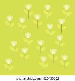 Many White Flowers on Light Green Background