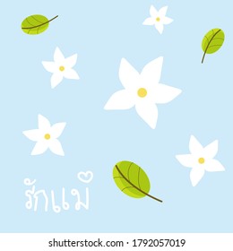 Many white jasmine flowers on light blue background for happy mother's day in Thailand concept. Cartoon vector style. (Thai language is mean Love MOM)