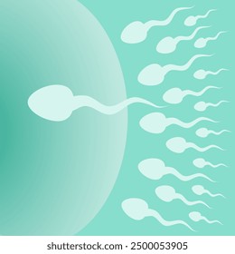 Many white sperm are swimming into the ovaries in the human reproductive system. The strongest one wins. And it is on a green background.