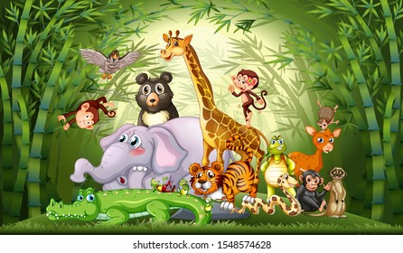 Many wild animals in bamboo forest illustration