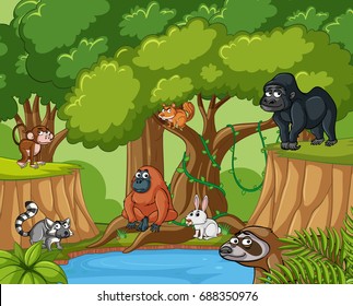 Many wild animals in forest illustration