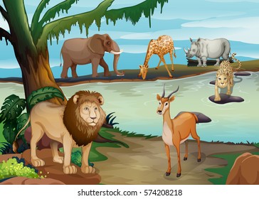 Many wild animals living by the pond illustration