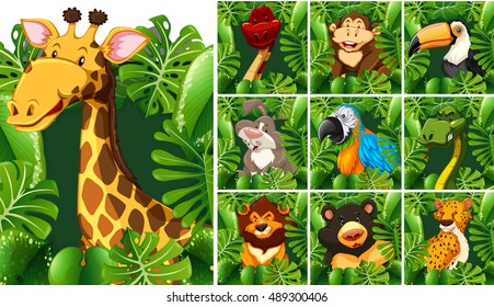 Many wildlife behind the green bush illustration