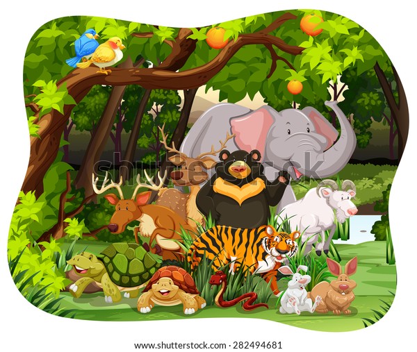 all animals that live in the jungle