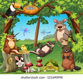 Many wildlife living in the woods illustration