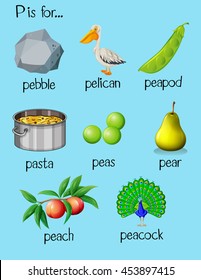 Many words begin with letter P illustration