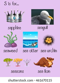Many words begin with letter S illustration
