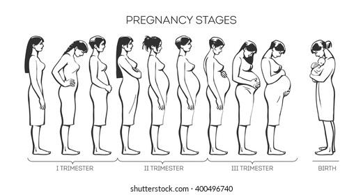 Many young girls are standing one behind other, concept of stages of pregnancy, trimesters types, sketch black and white illustration, vector