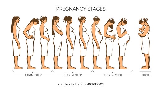 Many young girls are standing one behind other, concept of stages of pregnancy, trimesters types, sketch illustration, vector