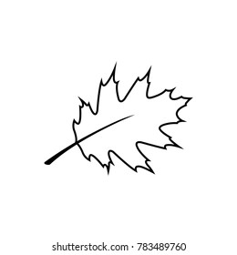 maole leaf icon line art