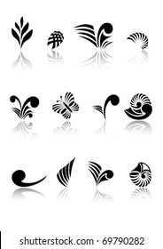 Maori Koru Design Logos Elements Set
