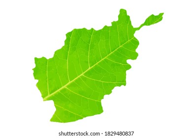 Map of Afghanistan in green leaf texture on a white isolated background. Ecology, climate concept. Vector illustration.