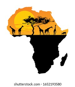 Map of Africa. Safari sunset with giraffe group. Savanna acacia tree. Travel invitation card for Africa nature. Safari trip attraction with animals. Wild Africa beauty tour. Tourist and traveler trip.