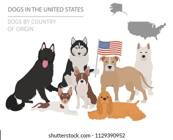 Map of american dog breeds. Info graphic template. Vector illustration