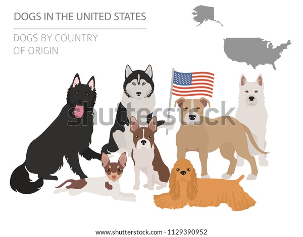 Map American Dog Breeds Info Graphic Stock Vector (Royalty Free ...