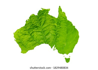 Map of Australia in green leaf texture on a white isolated background. Ecology, climate concept. Vector illustration.