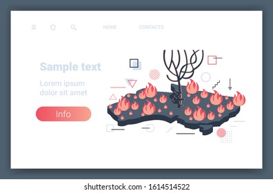 map of Australia with koala sitting on tree in burning forest bushfire endangered animals dying in wildfire natural disaster concept intense orange flames copy space horizontal vector illustration