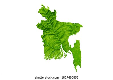 Map of Bangladesh in green leaf texture on a white isolated background. Ecology, climate concept. Vector illustration. Environmental issues